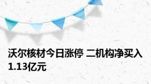 沃尔核材今日涨停 二机构净买入1.13亿元