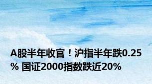 A股半年收官！沪指半年跌0.25% 国证2000指数跌近20%