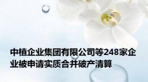 中植企业集团有限公司等248家企业被申请实质合并破产清算