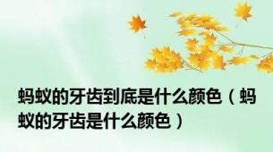 蚂蚁的牙齿到底是什么颜色（蚂蚁的牙齿是什么颜色）