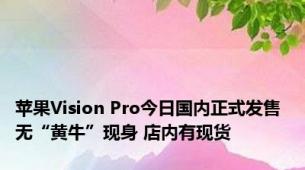 苹果Vision Pro今日国内正式发售 无“黄牛”现身 店内有现货