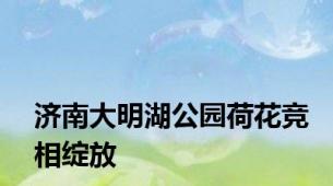 济南大明湖公园荷花竞相绽放