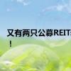 又有两只公募REITs获批！