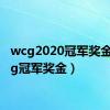 wcg2020冠军奖金（wcg冠军奖金）