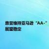 惠誉维持亚马逊“AA-”评级，展望稳定