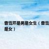 曹雪芹是男是女生（曹雪芹是男是女）