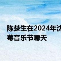 陈楚生在2024年沈阳草莓音乐节哪天