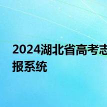 2024湖北省高考志愿填报系统