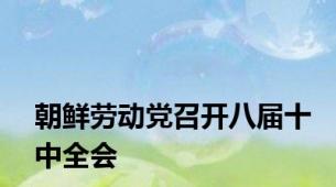 朝鲜劳动党召开八届十中全会