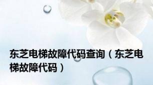 东芝电梯故障代码查询（东芝电梯故障代码）