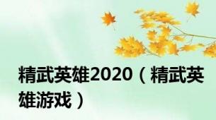 精武英雄2020（精武英雄游戏）