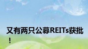 又有两只公募REITs获批！