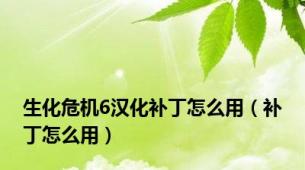 生化危机6汉化补丁怎么用（补丁怎么用）