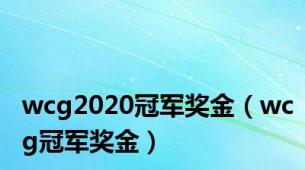 wcg2020冠军奖金（wcg冠军奖金）