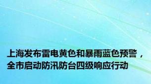 上海发布雷电黄色和暴雨蓝色预警，全市启动防汛防台四级响应行动