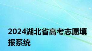 2024湖北省高考志愿填报系统