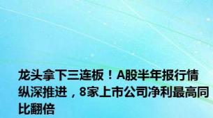 龙头拿下三连板！A股半年报行情纵深推进，8家上市公司净利最高同比翻倍