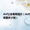 dnf公会等级提升（dnf公会升级要多少钱）