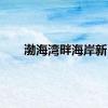 渤海湾畔海岸新