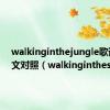 walkinginthejungle歌词中英文对照（walkinginthesky）