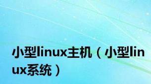 小型linux主机（小型linux系统）