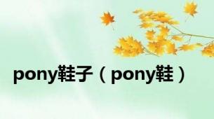 pony鞋子（pony鞋）