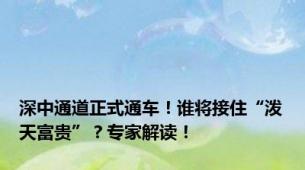 深中通道正式通车！谁将接住“泼天富贵”？专家解读！