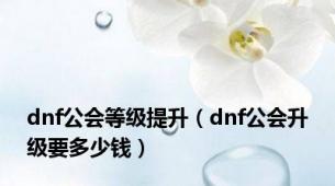 dnf公会等级提升（dnf公会升级要多少钱）