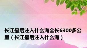 长江最后注入什么海全长6300多公里（长江最后注入什么海）