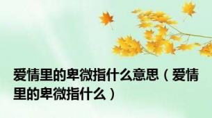 爱情里的卑微指什么意思（爱情里的卑微指什么）