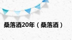 桑落酒20年（桑落酒）