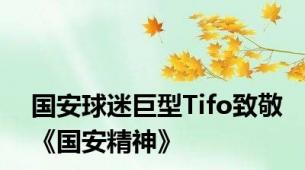 国安球迷巨型Tifo致敬《国安精神》