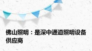 佛山照明：是深中通道照明设备供应商