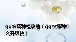 qq农场种植攻略（qq农场种什么升级快）