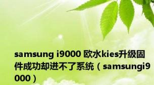 samsung i9000 欧水kies升级固件成功却进不了系统（samsungi9000）