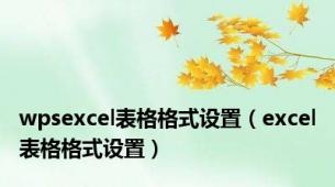 wpsexcel表格格式设置（excel表格格式设置）