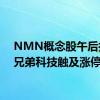 NMN概念股午后拉升 兄弟科技触及涨停