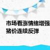 市场看涨情绪增强 周末猪价连续反弹