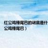 红公鸡绿尾巴的谜底是什么（红公鸡绿尾巴）