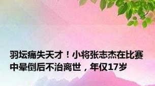 羽坛痛失天才！小将张志杰在比赛中晕倒后不治离世，年仅17岁