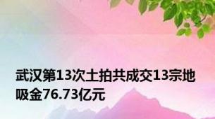 武汉第13次土拍共成交13宗地 吸金76.73亿元