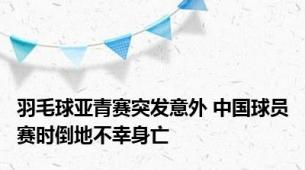 羽毛球亚青赛突发意外 中国球员赛时倒地不幸身亡