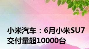 小米汽车：6月小米SU7交付量超10000台