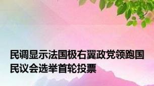 民调显示法国极右翼政党领跑国民议会选举首轮投票