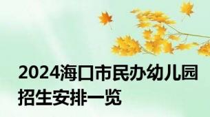 2024海口市民办幼儿园招生安排一览