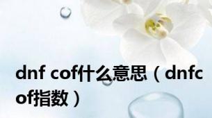 dnf cof什么意思（dnfcof指数）