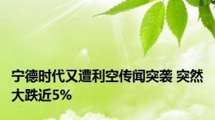 宁德时代又遭利空传闻突袭 突然大跌近5%