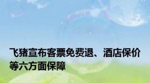 飞猪宣布客票免费退、酒店保价等六方面保障