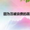 因为丑被浪费的蔬菜