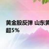 黄金股反弹 山东黄金涨超5%